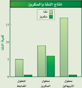 مخطط